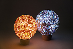 画像全国小中学校環境教育研究会賞