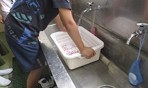 画像学乳パックリサイクルの様子