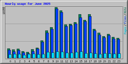 Hourly usage for June 2025