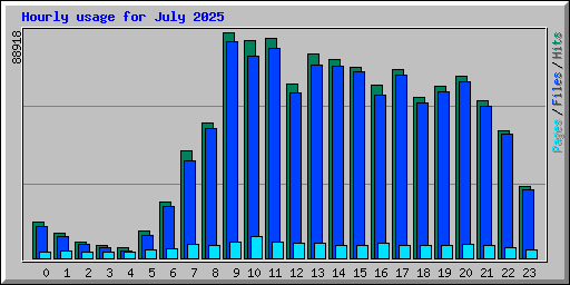 Hourly usage for July 2025