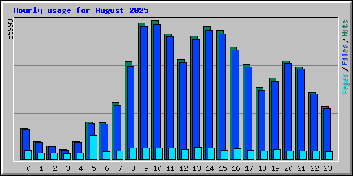 Hourly usage for August 2025