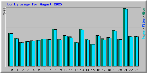 Hourly usage for August 2025